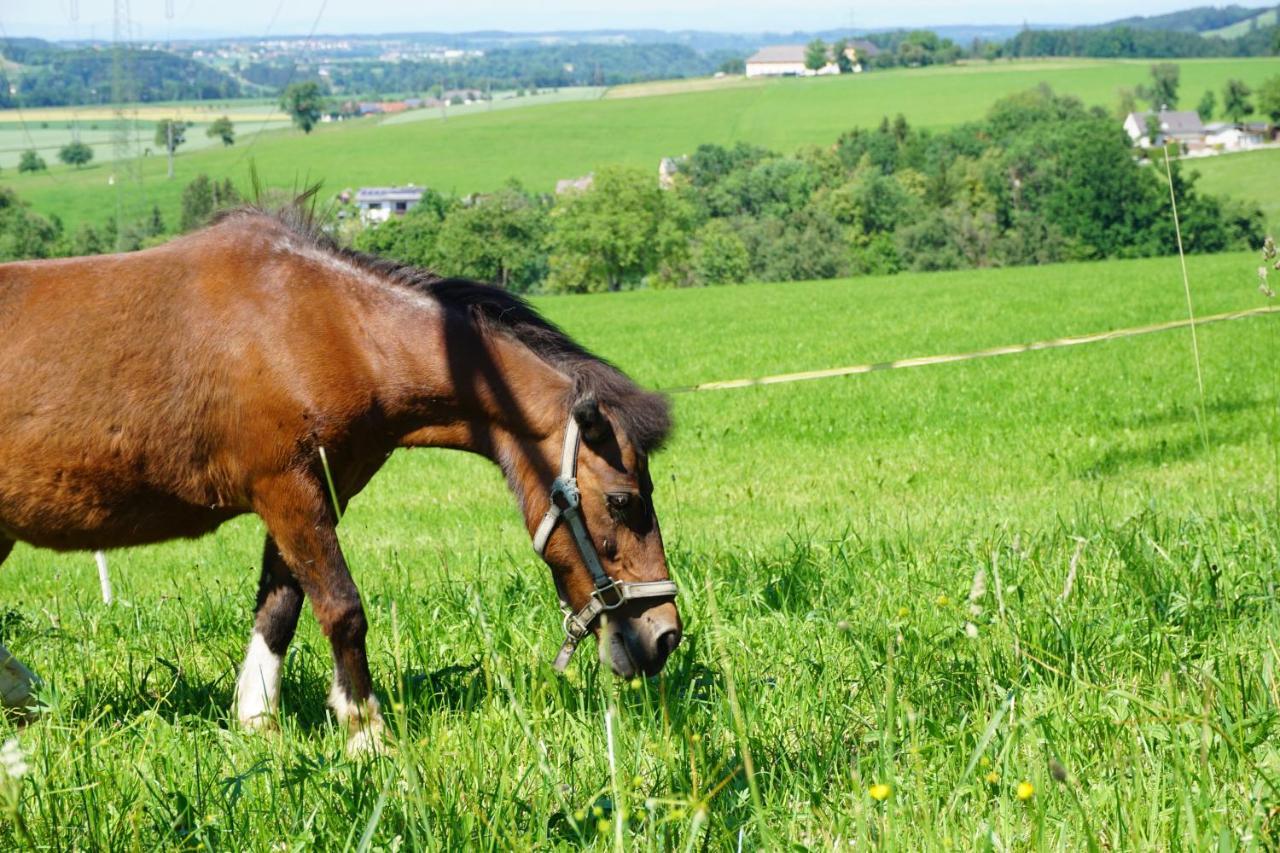 Kinderbauernhof Salmanner Steinbach an der Steyr Exterior foto